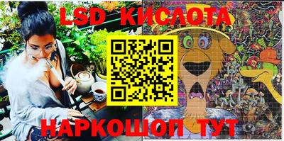 прущие крисы Новокубанск