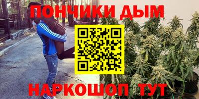 марихуана Новозыбков