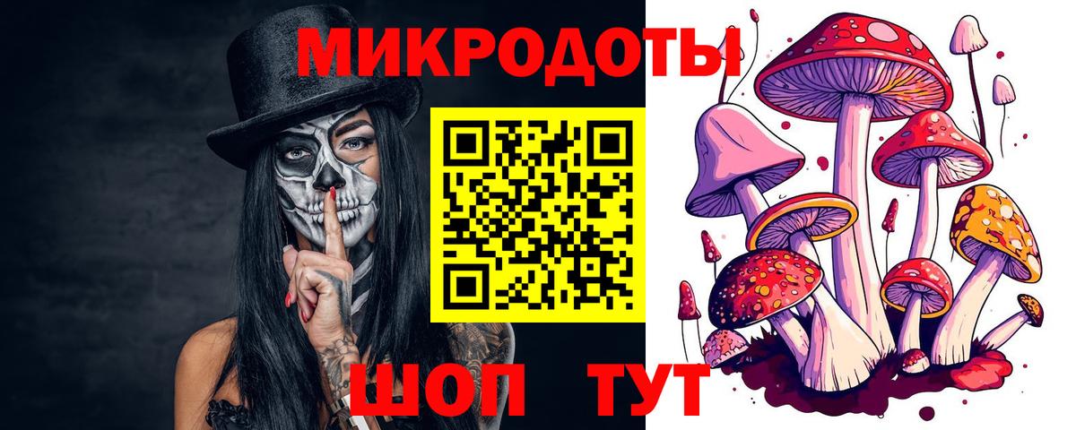 Псилоцибиновые грибы MAGIC MUSHROOMS  Вход с VPN  где купить наркоту  Торжок 