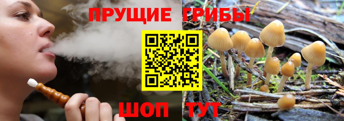 Псилоцибиновые грибы ЛСД Торжок